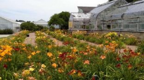 Best Western Manhattan Inn image 6